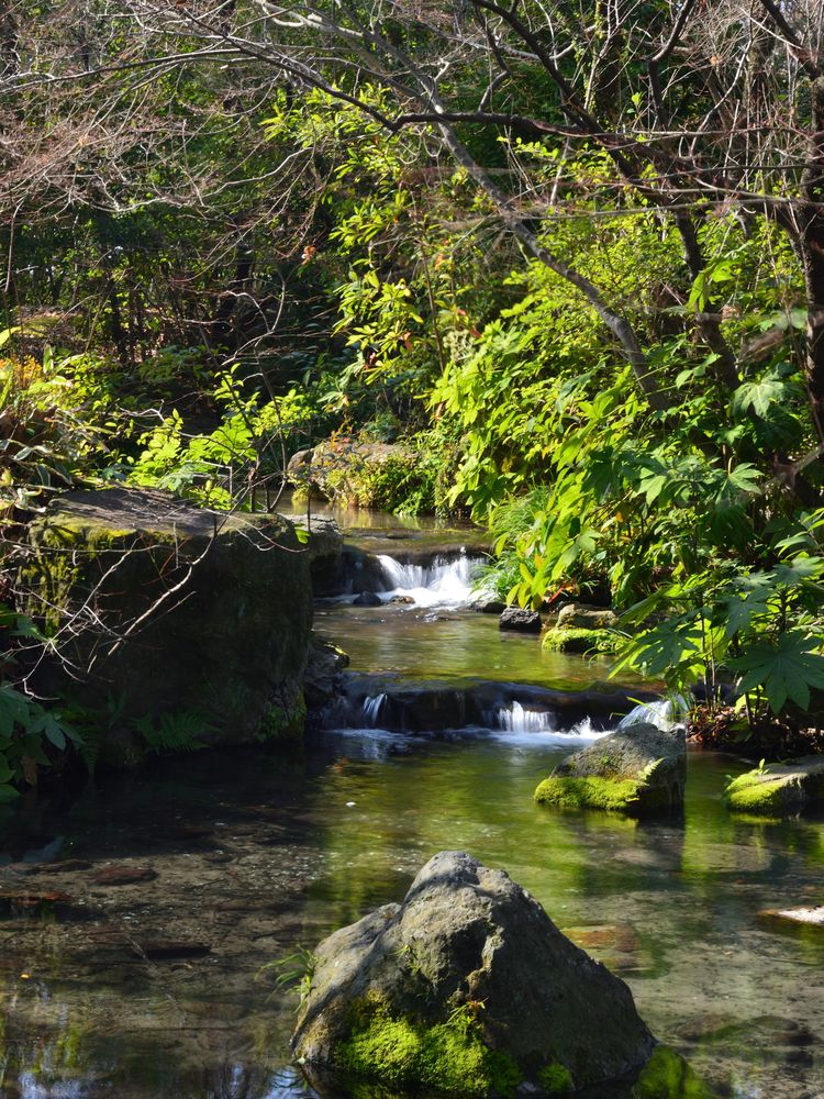 石橋文化センターの画像 - 2枚目