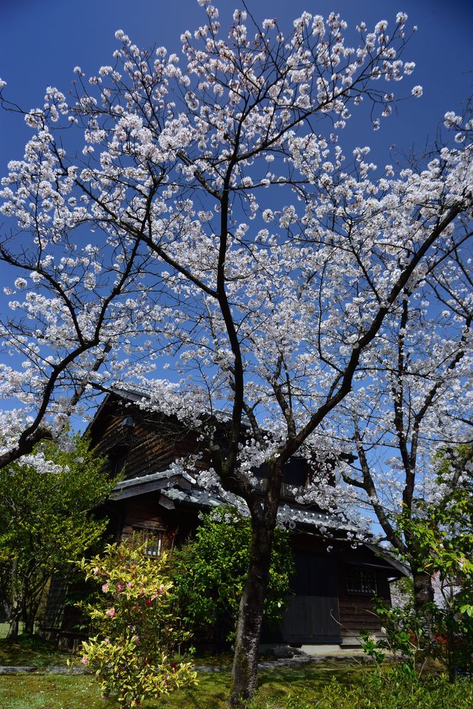 石橋文化センターの画像 - 5枚目