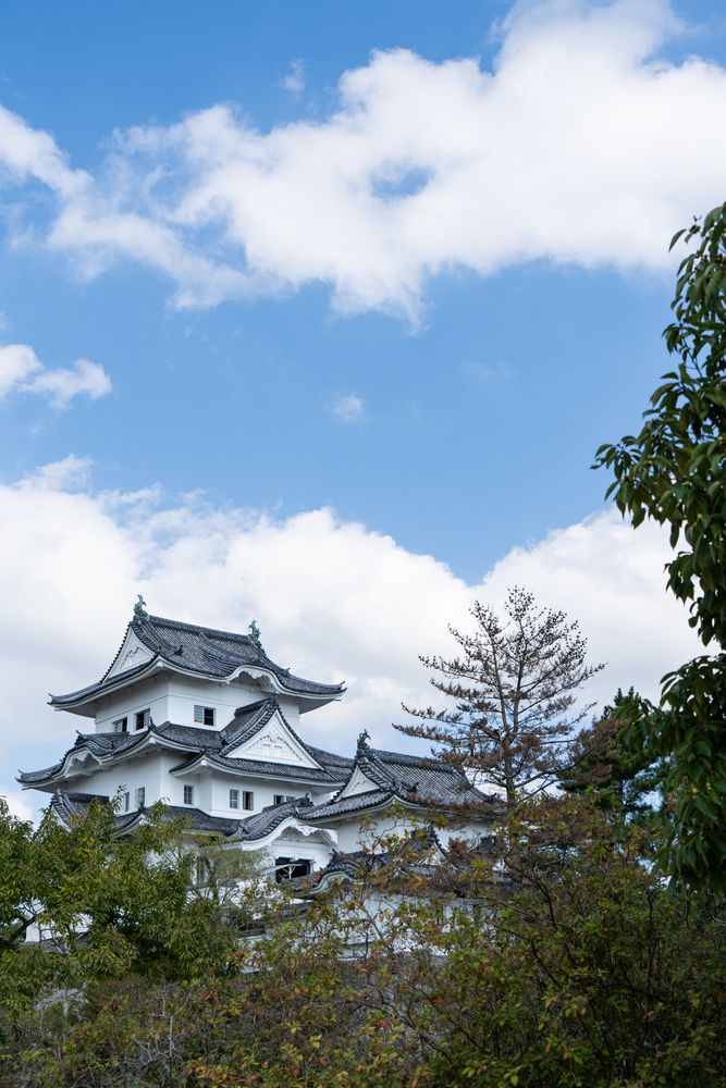 伊賀上野城の画像 - 3枚目