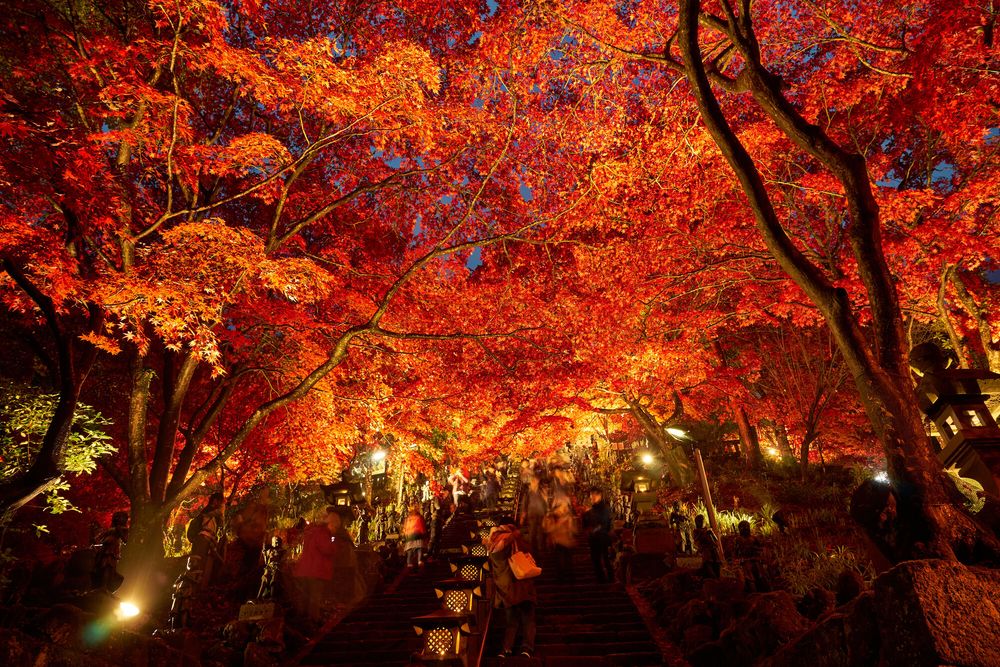大山寺の画像 - 2枚目