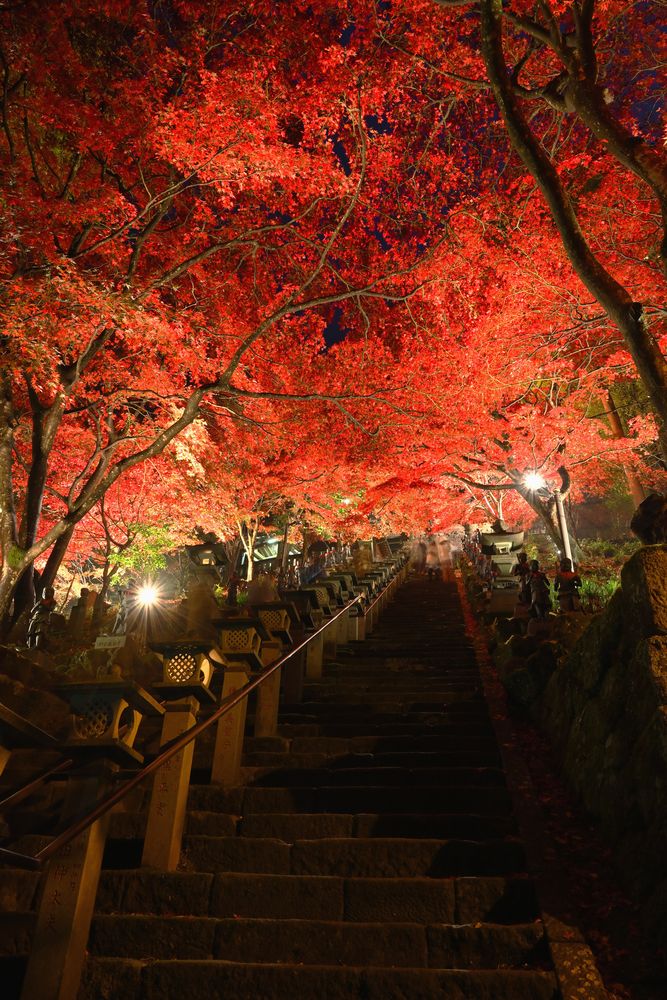 大山寺の画像 - 4枚目