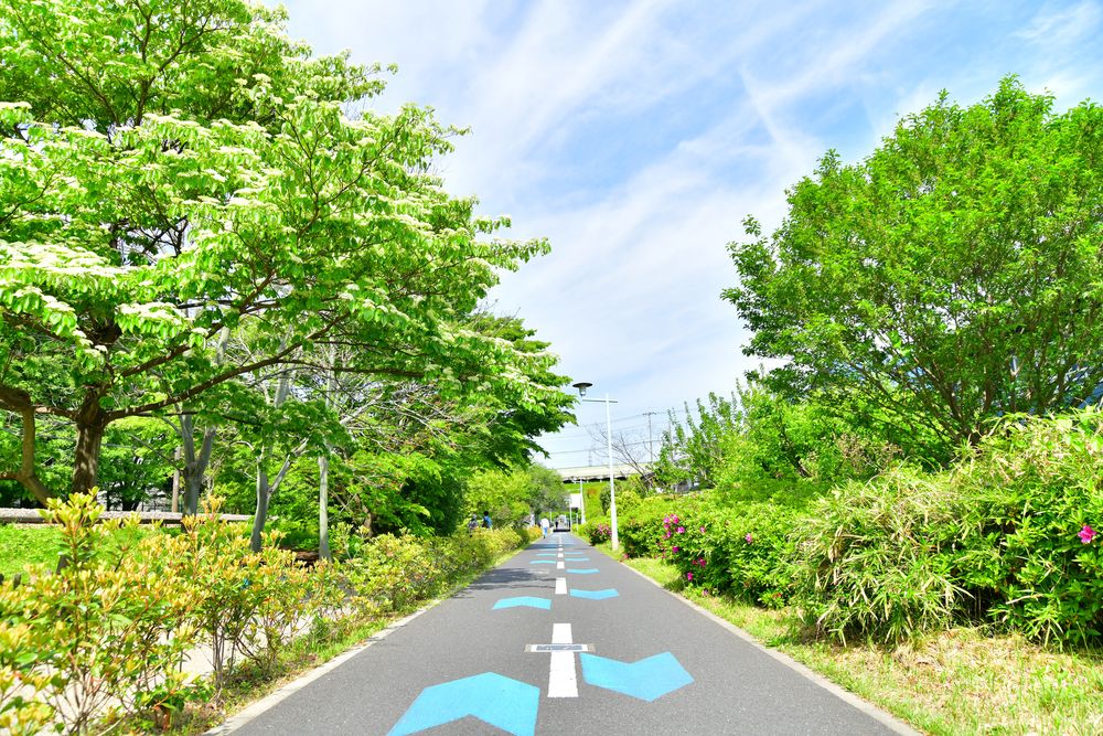 都立狭山公園の画像 - 3枚目