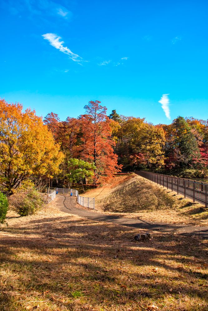 都立狭山公園の画像 - 6枚目