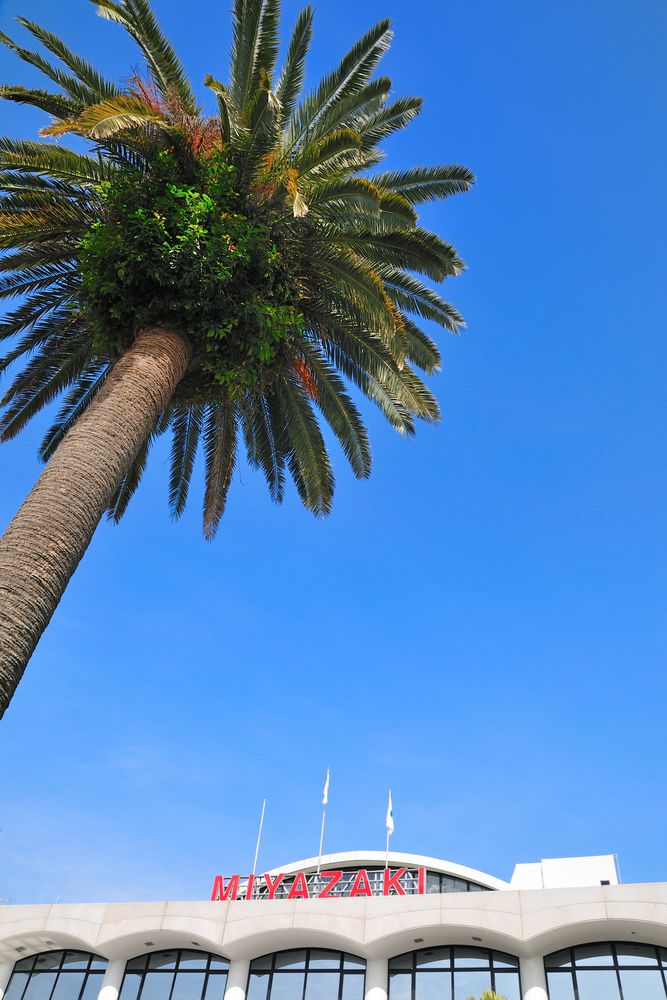 宮崎空港の画像 - 3枚目