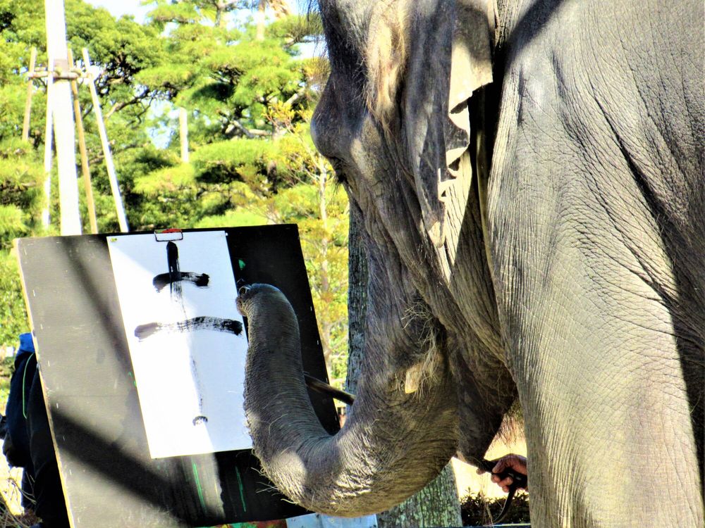 宮崎市フェニックス自然動物園の画像 - 2枚目