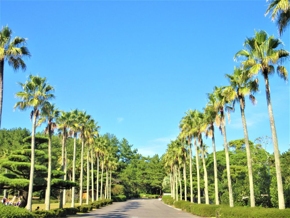 宮崎市フェニックス自然動物園の画像 - 5枚目