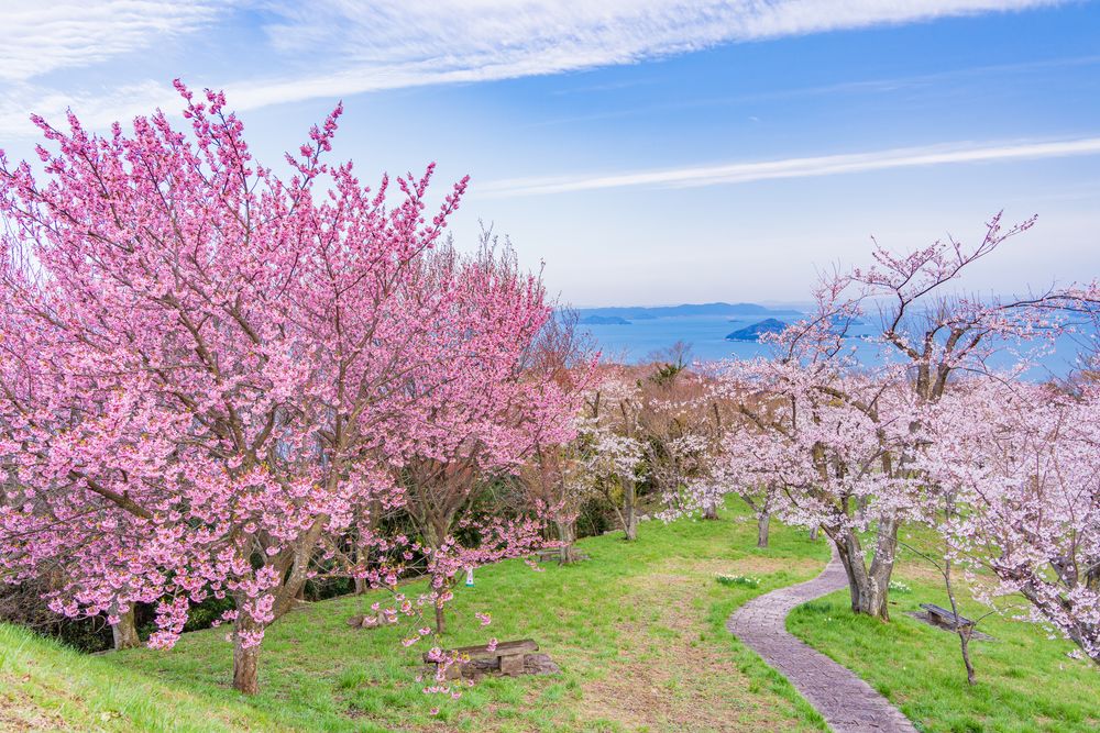 紫雲出山の画像 - 6枚目