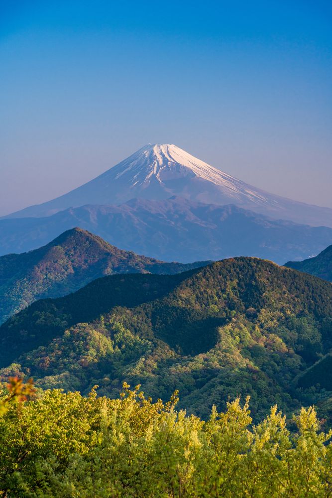 碧テラスの画像 - 3枚目