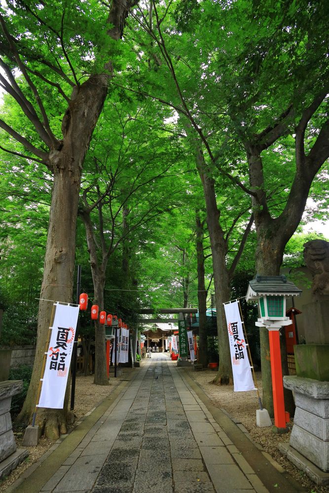 田無神社の画像 - 2枚目