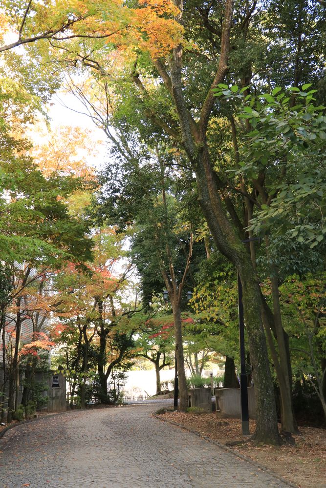 道後公園の画像 - 3枚目