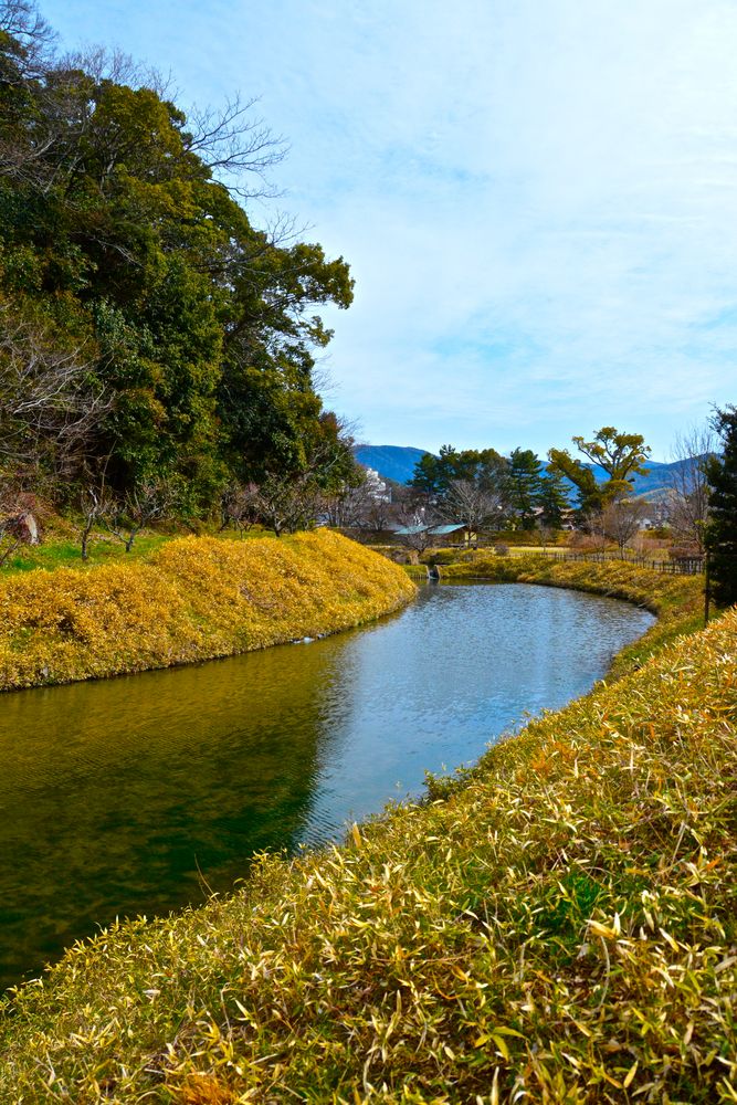 道後公園の画像 - 4枚目