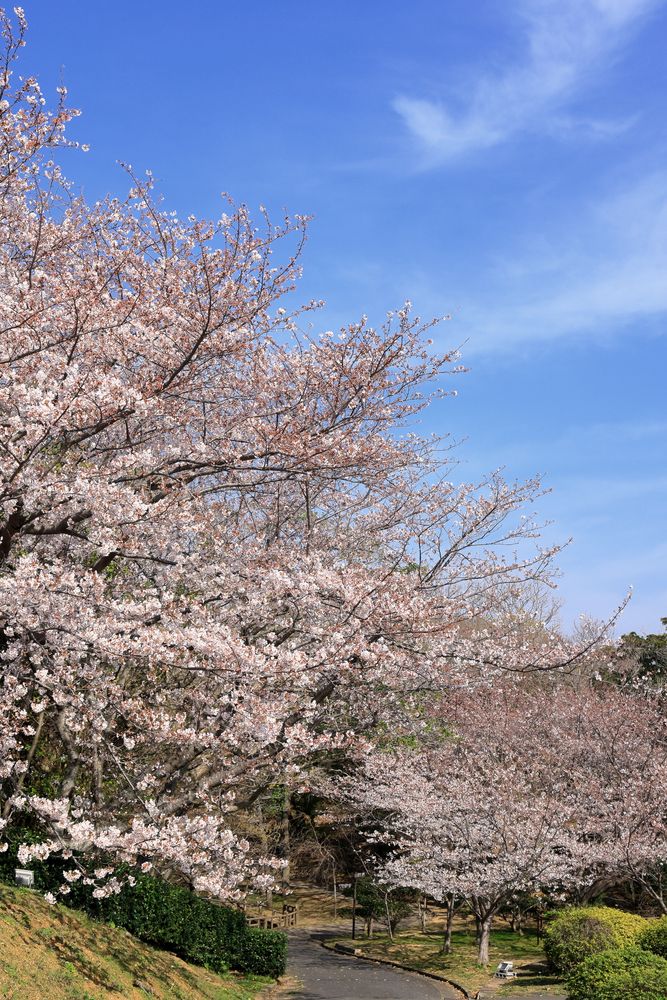 ときわ公園の画像 - 5枚目