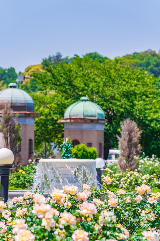 ヴェルニー公園の画像 - 3枚目
