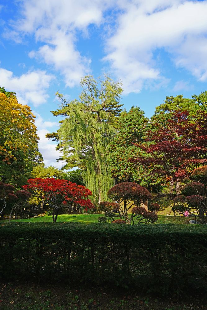見晴公園の画像 - 3枚目