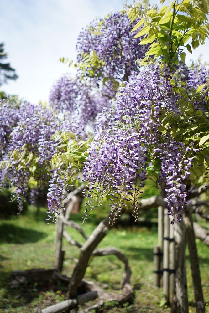 見晴公園の画像 - 4枚目