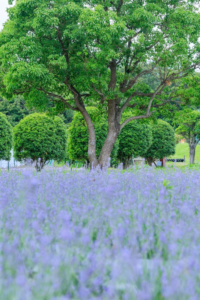 和泉リサイクル環境公園の画像 - 4枚目