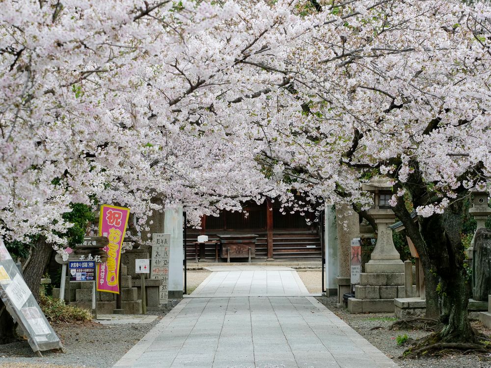 道明寺天満宮の画像 - 5枚目