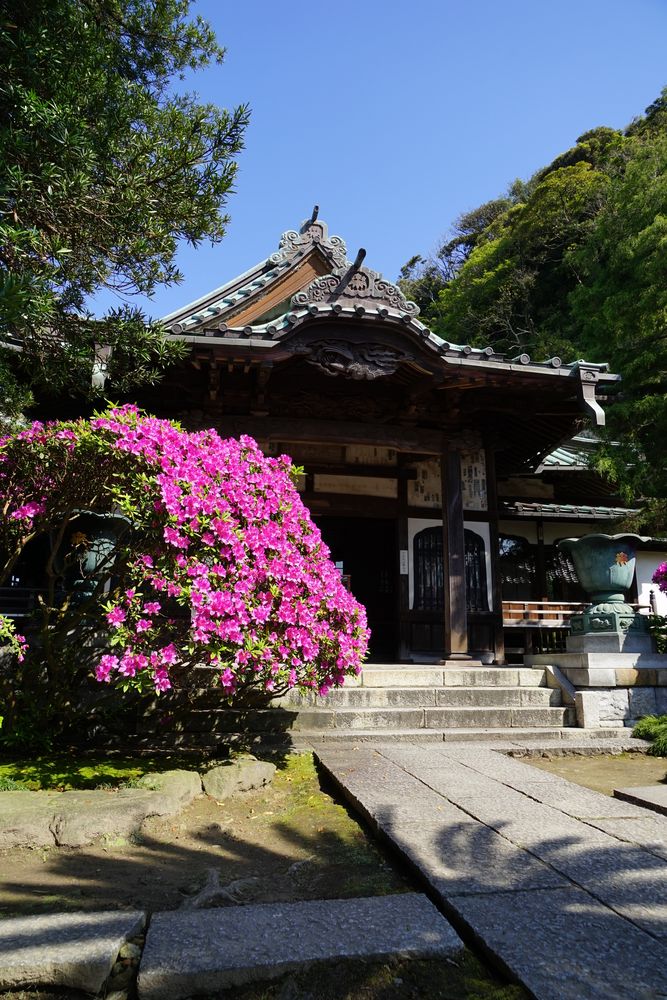安養院の画像 - 3枚目