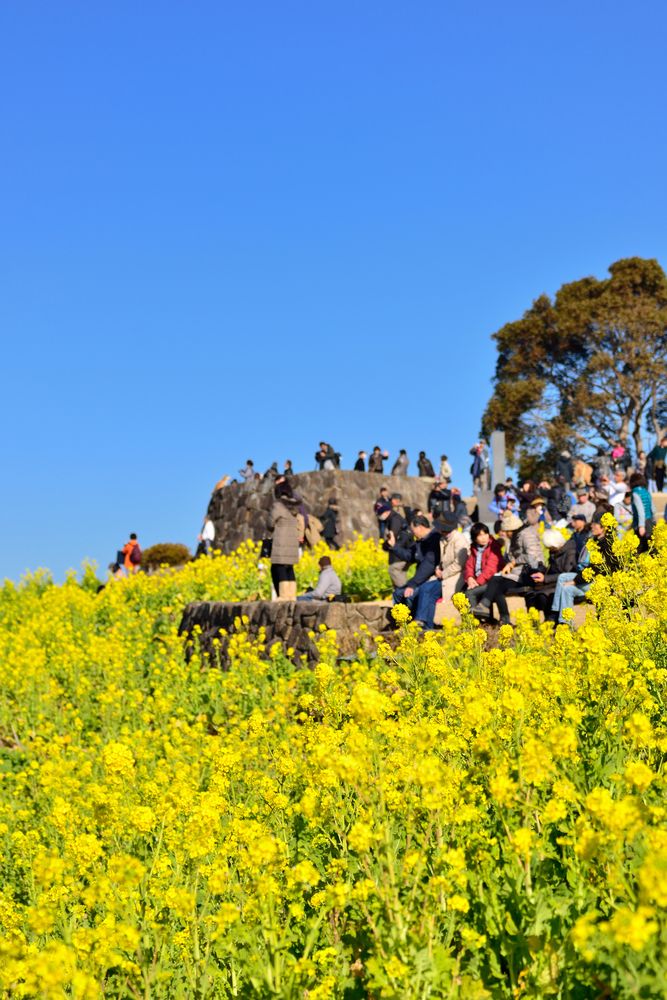 吾妻山公園展望台の画像 - 3枚目