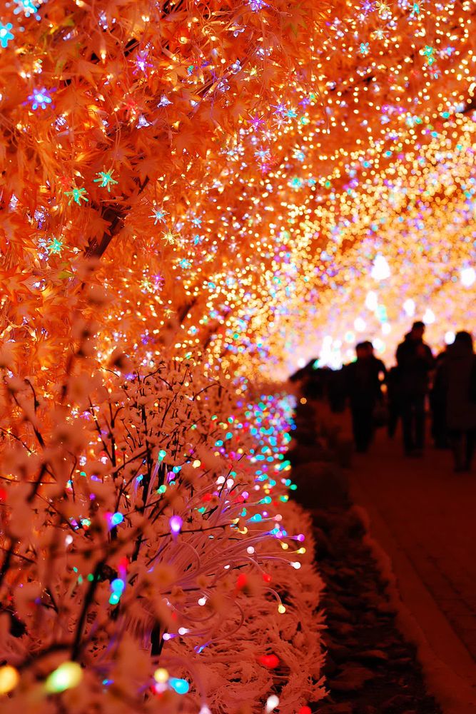 御殿場高原時之栖の画像 - 2枚目