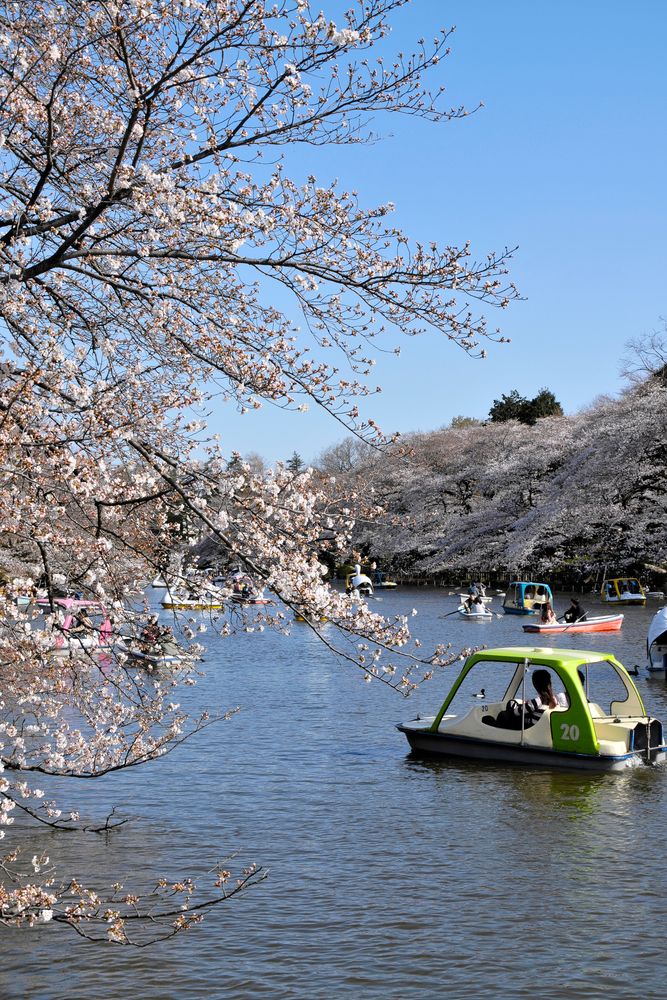 井頭公園の画像 - 3枚目