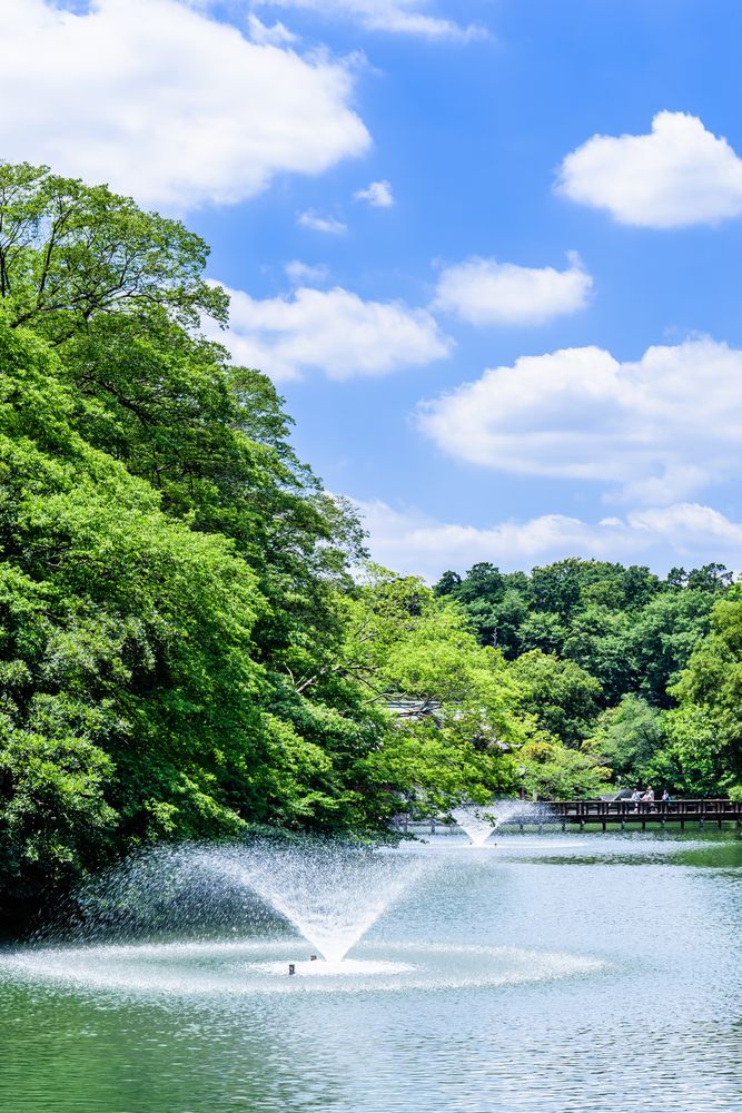 井頭公園の画像 - 4枚目