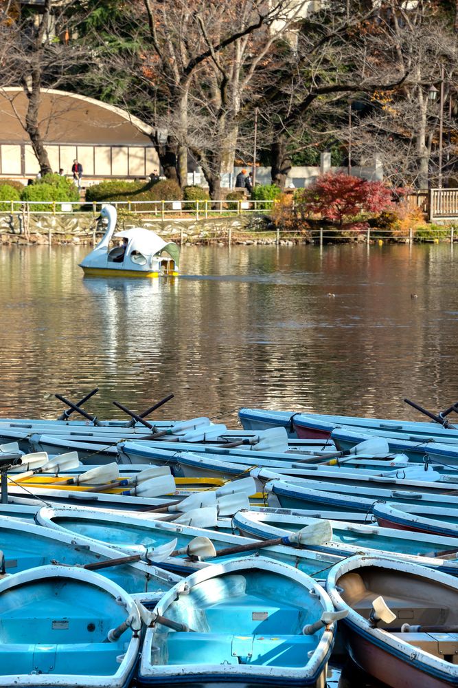 井頭公園の画像 - 5枚目