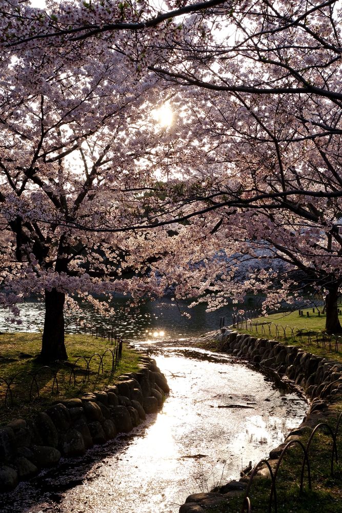 明石公園の画像 - 2枚目