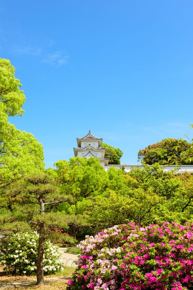 明石公園の画像 - 3枚目