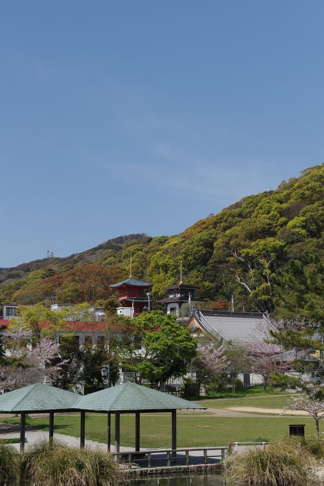 上野山 福祥寺 (須磨寺)の画像 - 4枚目