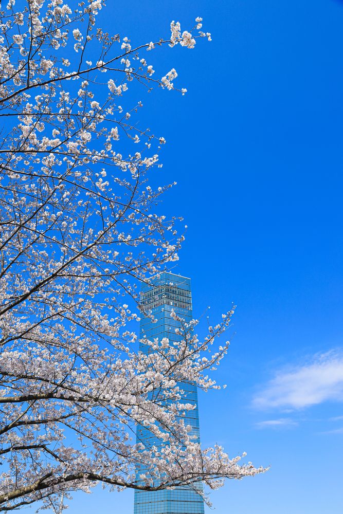 千葉ポートタワーの画像 - 5枚目
