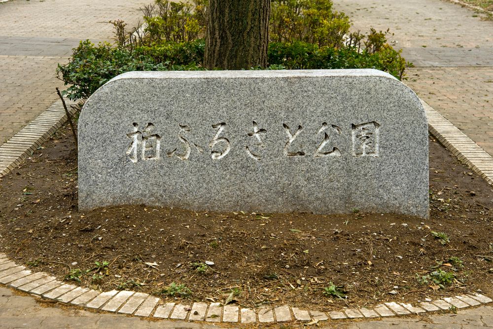 柏ふるさと公園の画像 - 3枚目