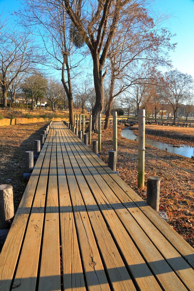 柏ふるさと公園の画像 - 5枚目