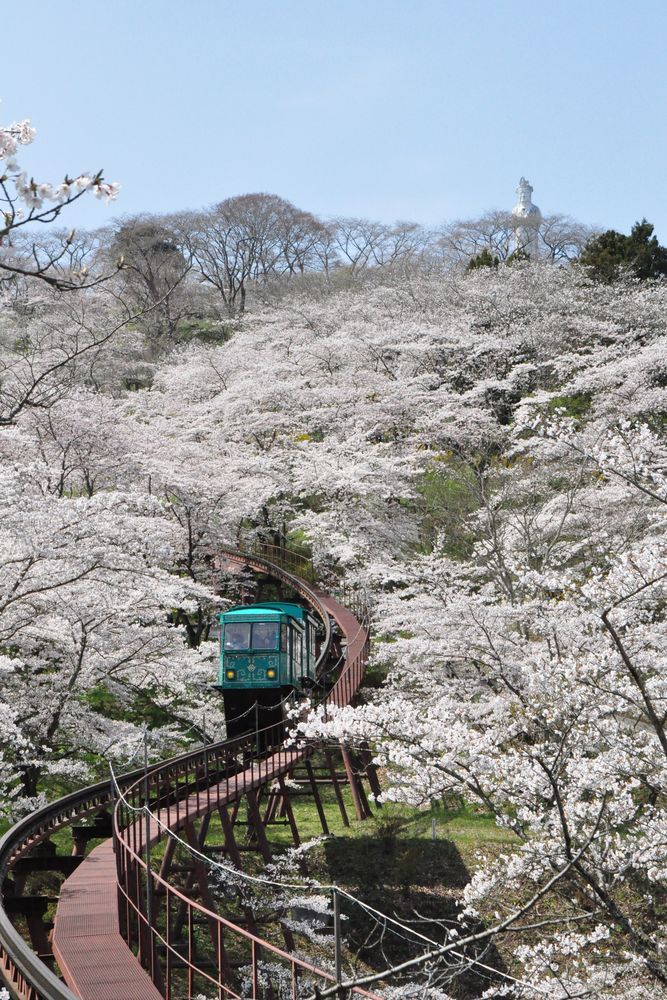 船岡城址公園
