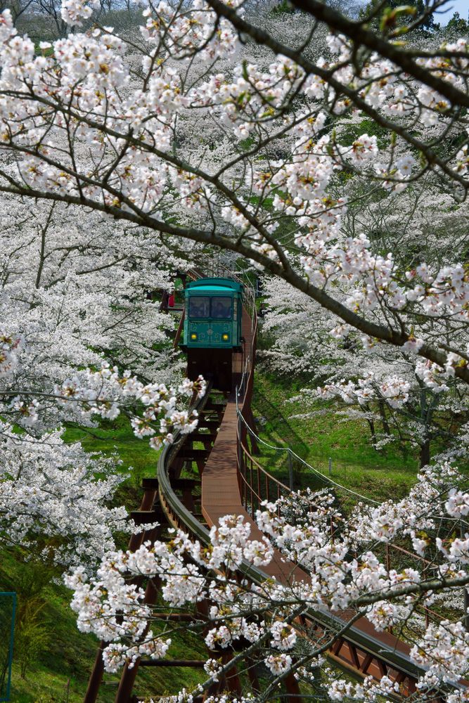 船岡城址公園の画像 - 2枚目