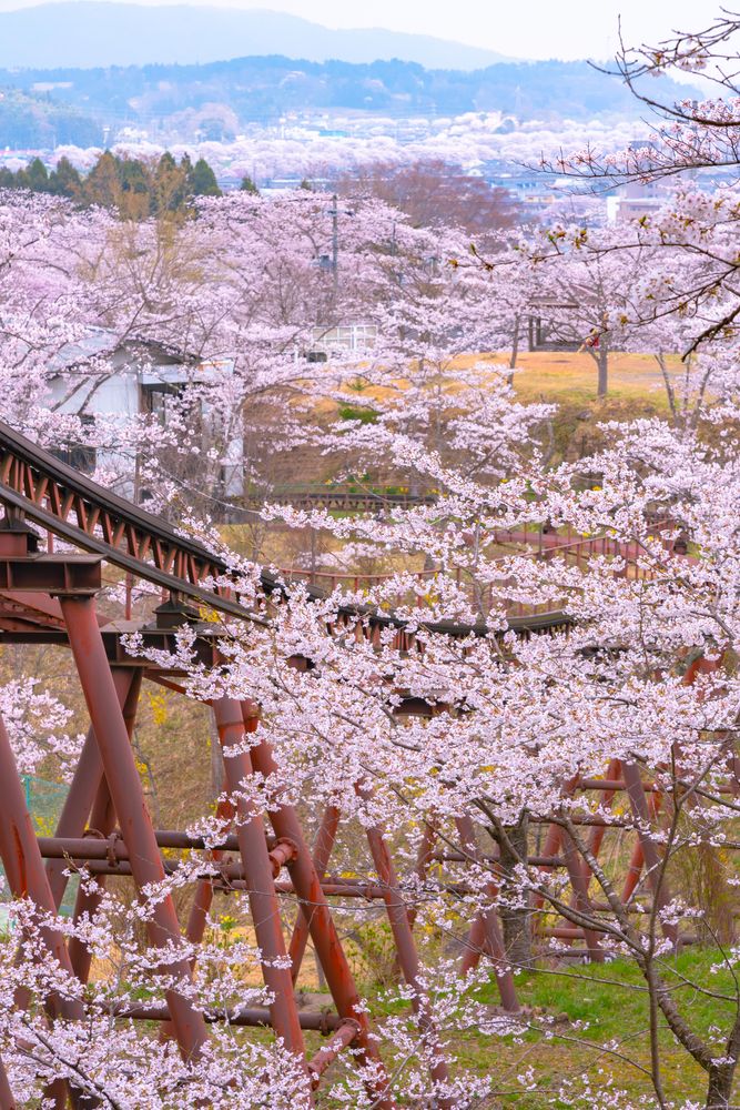 船岡城址公園の画像 - 3枚目