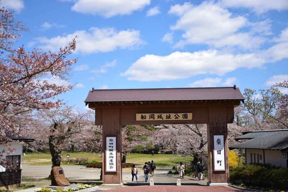 船岡城址公園の画像 - 4枚目