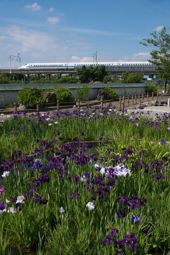 万葉公園の画像 - 2枚目