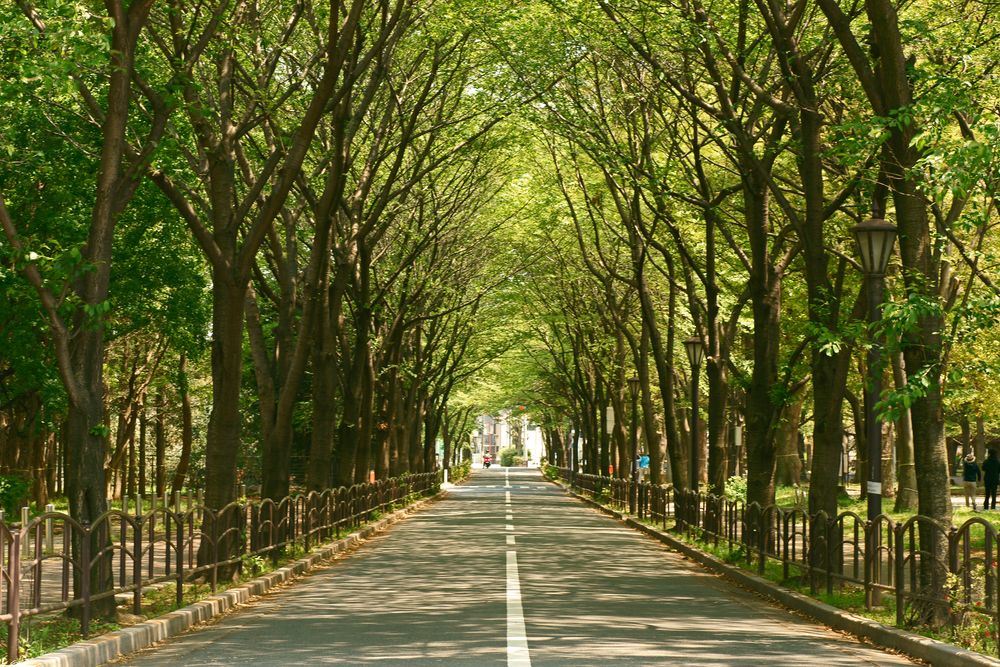 城北中央公園の画像 - 2枚目
