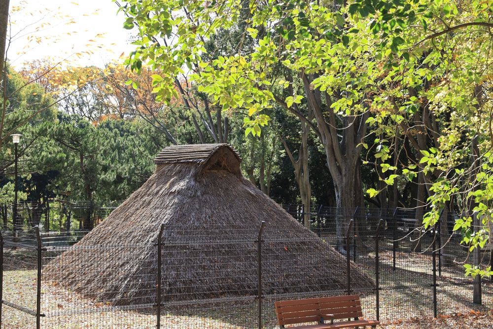 城北中央公園の画像 - 5枚目