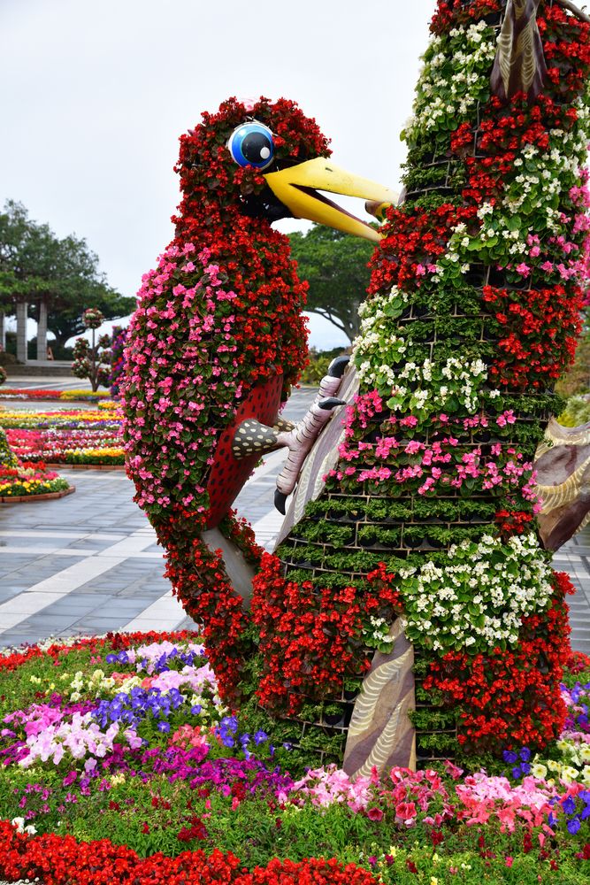 海洋博公園の画像 - 3枚目