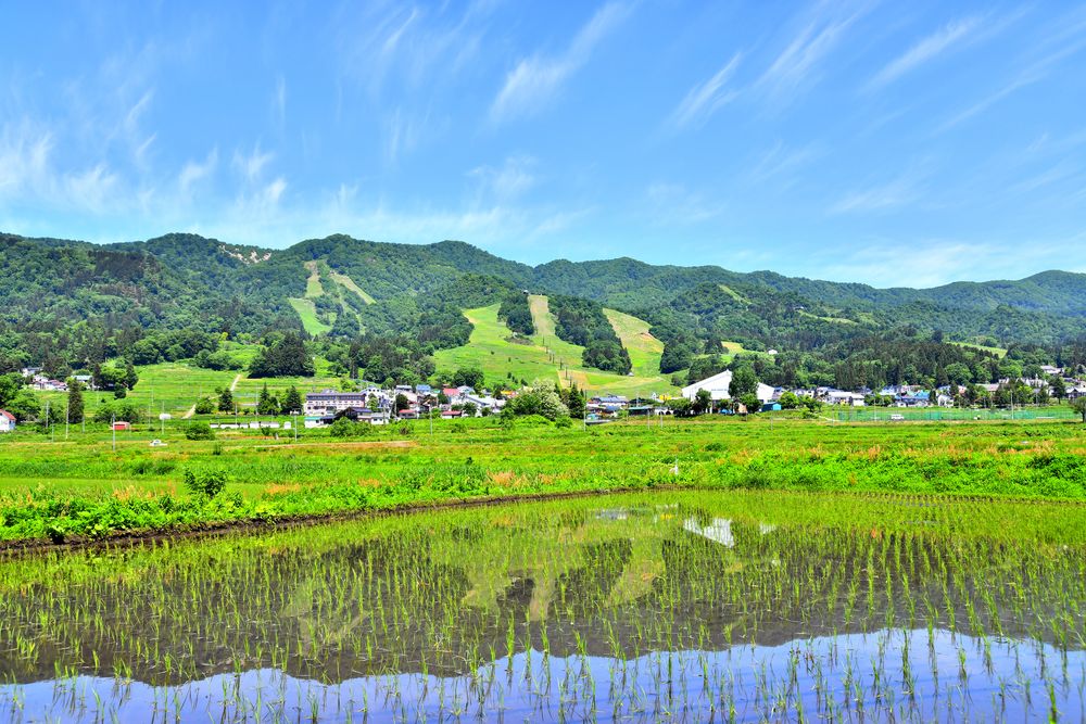 戸狩温泉スキー場の画像 - 3枚目