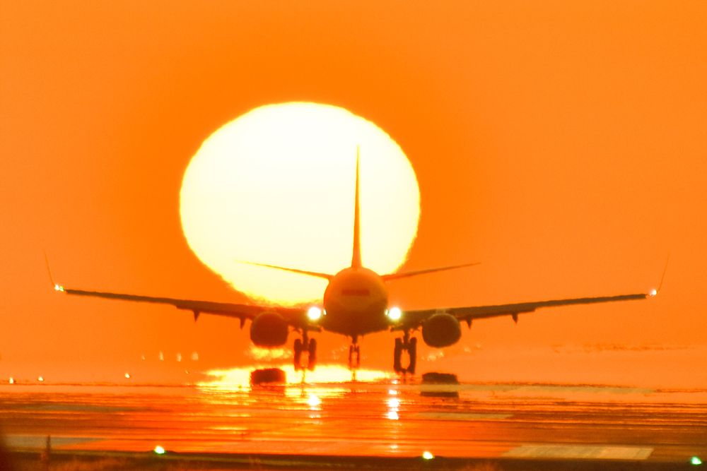 名古屋空港の画像 - 3枚目