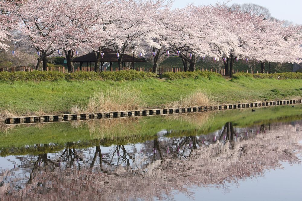 鶴生田川の画像 - 2枚目