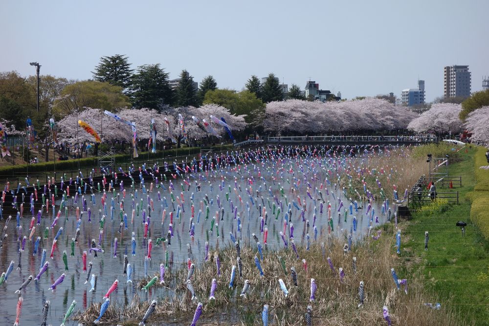鶴生田川の画像 - 3枚目