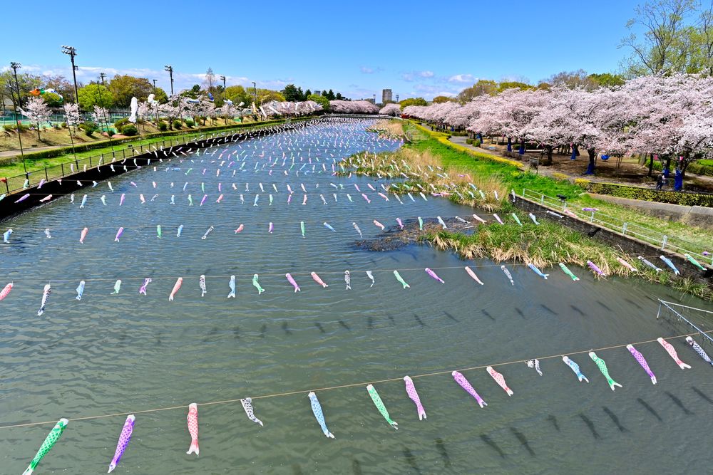 鶴生田川の画像 - 4枚目