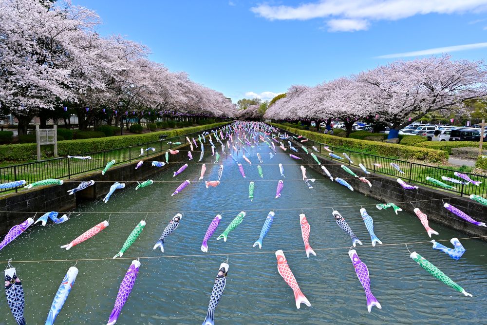 鶴生田川の画像 - 5枚目