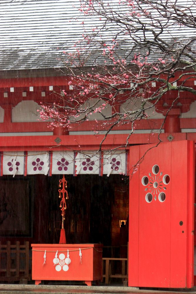 荏柄天神社の画像 - 2枚目
