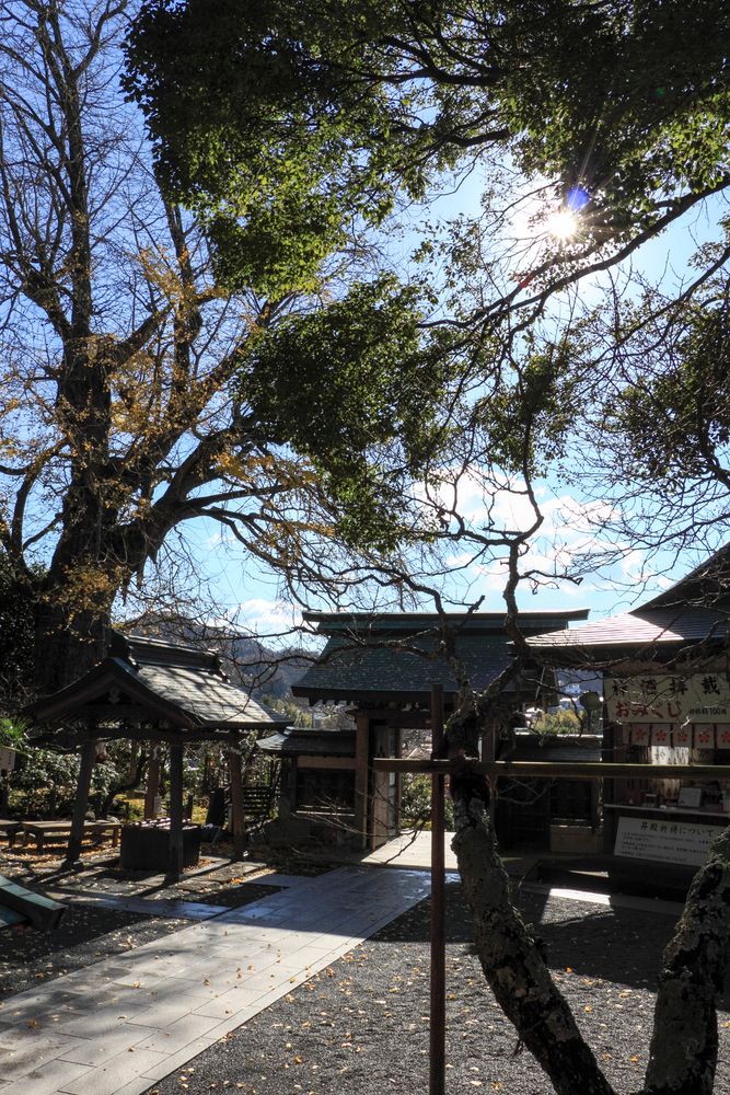 荏柄天神社の画像 - 3枚目