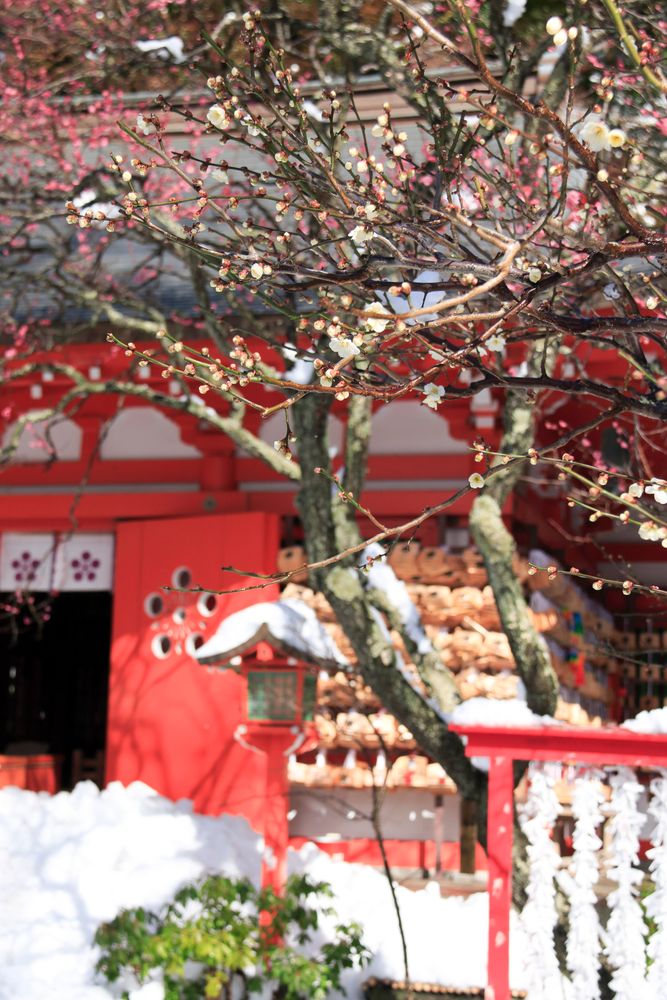 荏柄天神社の画像 - 5枚目